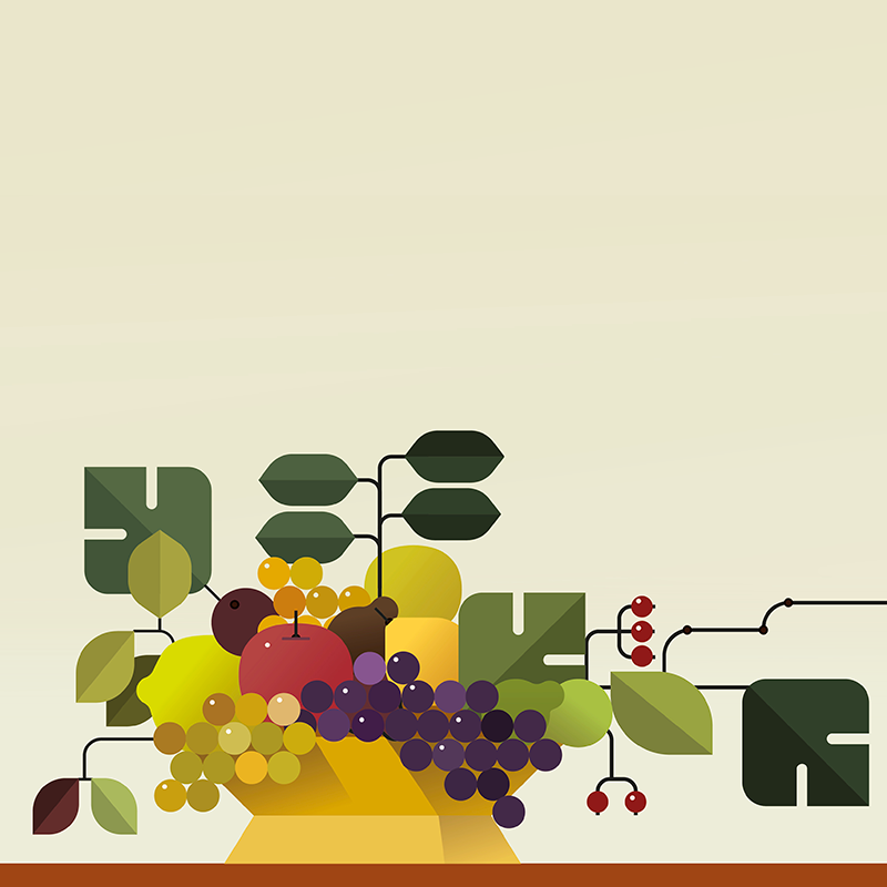 ILLUSTRAZIONI